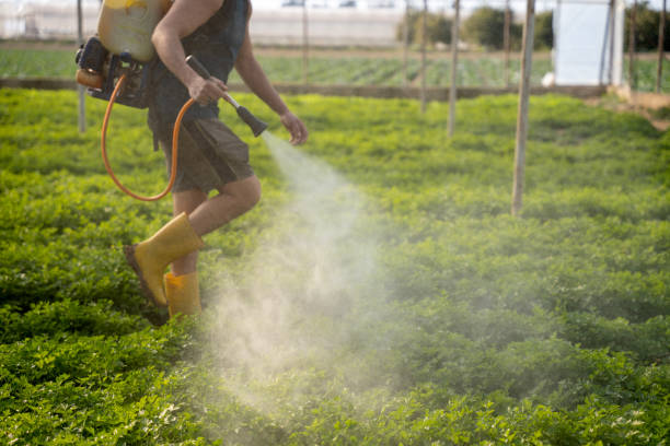 Best Best Pest Control Companies  in Tioga, ND